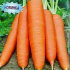 Морковь Детка-конфетка