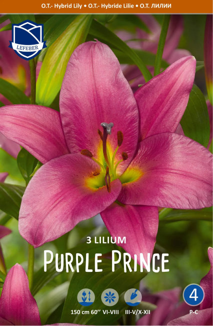 Лилия ОТ-гибрид Пёпл Принц (Purple Prince), 3 шт