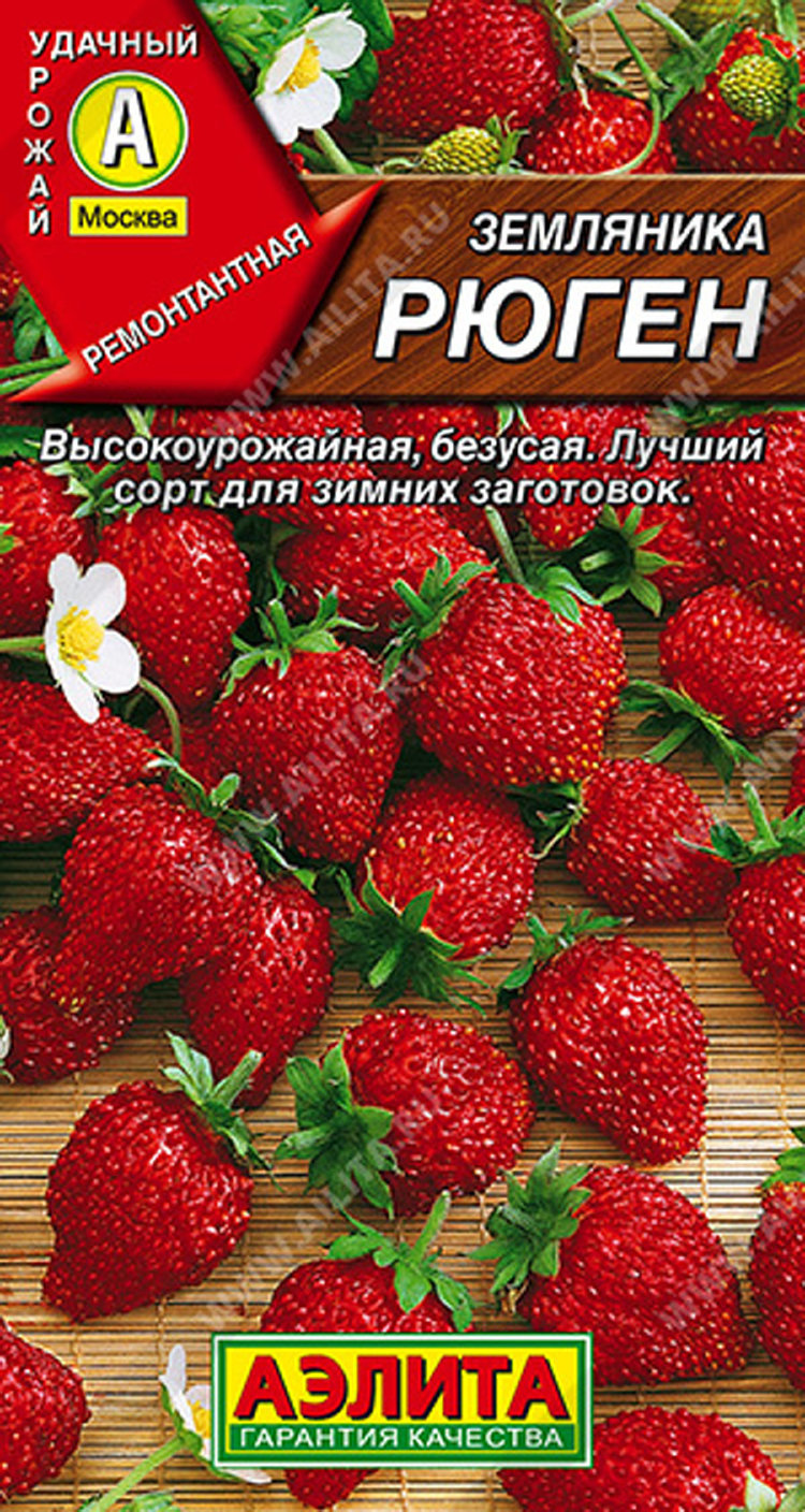 Безусая Земляника Купить Семена