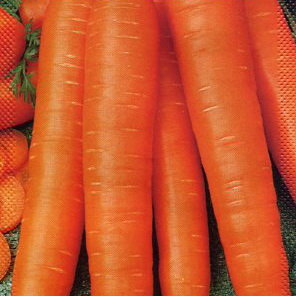 Морковь Супер Мускат (драже), 300 шт