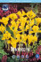 Ирис Данфорда (Iris danfordiae), 20 шт (разбор 6/7)