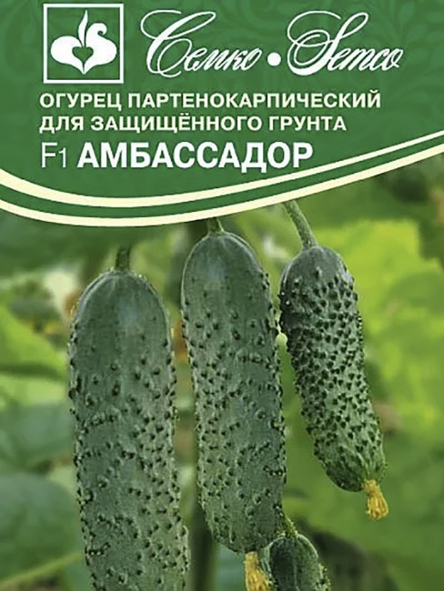 Огурец Амбассадор F1, 5 шт семян