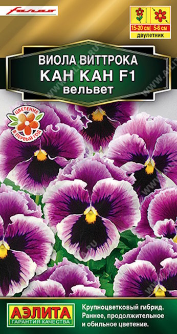 Виола Кан Кан вельвет F1, 7 шт семян