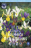 Ирис голландский смесь (Iris hollandica), 20 шт (разбор 8/9)