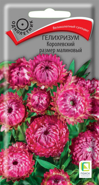 Гелихризум Королевский размер малиновый, 0.1 г