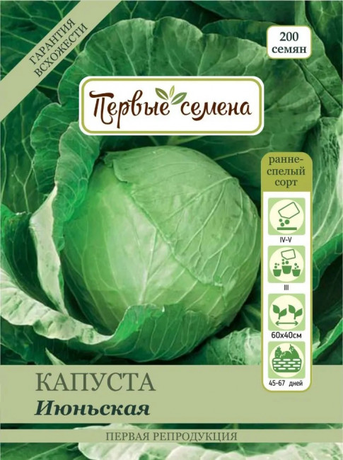Капуста б/к Июньская