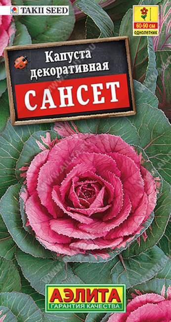 Капуста декоративная Сансет, 7 шт семян