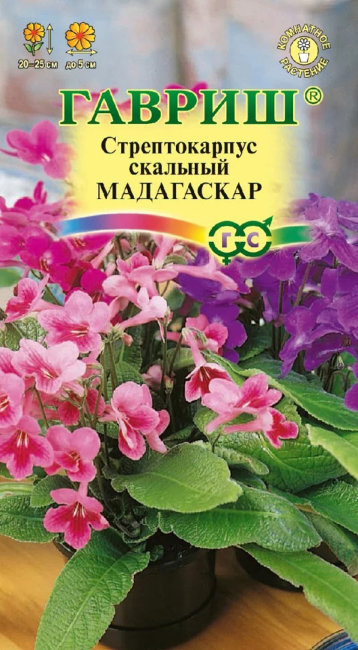 Стрептокарпус гибридный Мадагаскар, смесь, 5 шт семян