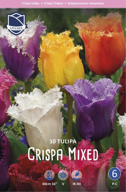 Тюльпан бахромчатый смесь сортов (Tulipa Fringed Mixed), 10 шт (разбор 12/14)