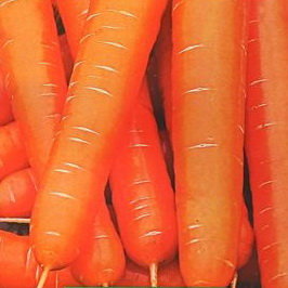 Морковь Вкус детства