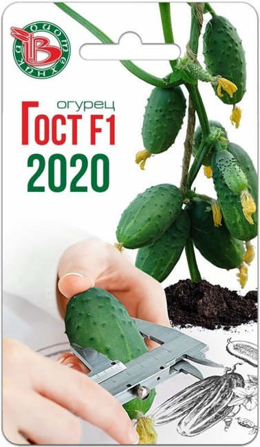 Огурец Гост F1 2020, 8 шт семян