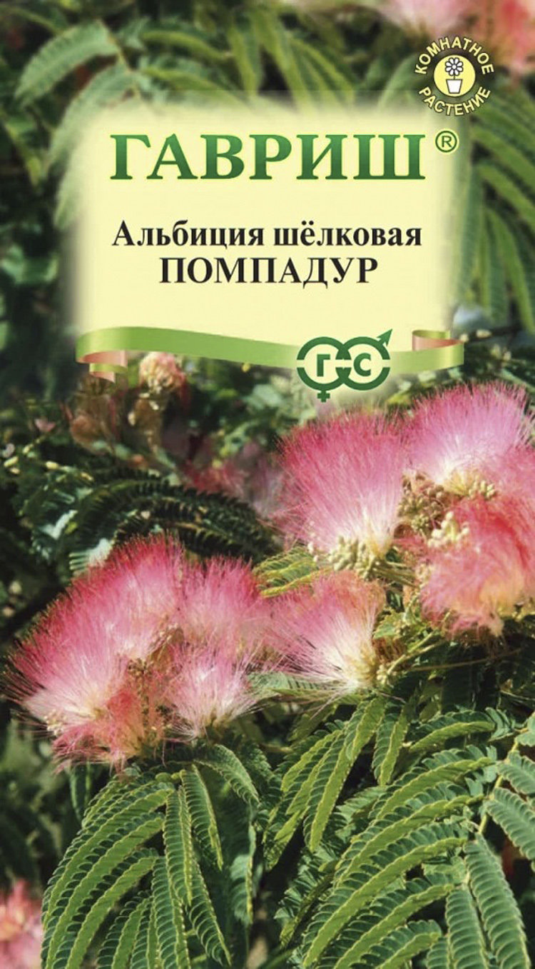 Купить альбиция помпадур, 3 шт семян по цене 36 руб. в интернет магазине  