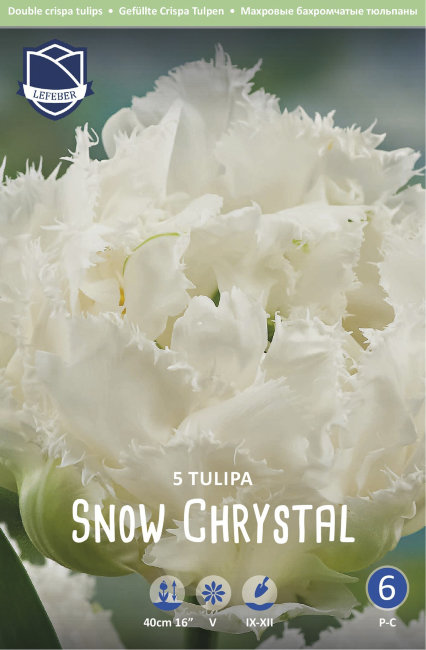 Тюльпан Сноу Кристал (Tulipa Snow Crystal), 5 шт (разбор 12/14)