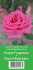Роза Парпл Фрагранс (Purple Fragrance), 1 шт