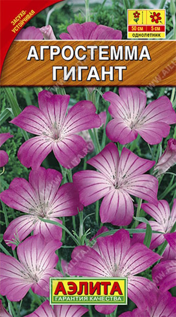 Агростемма Гигант, 0.5 г