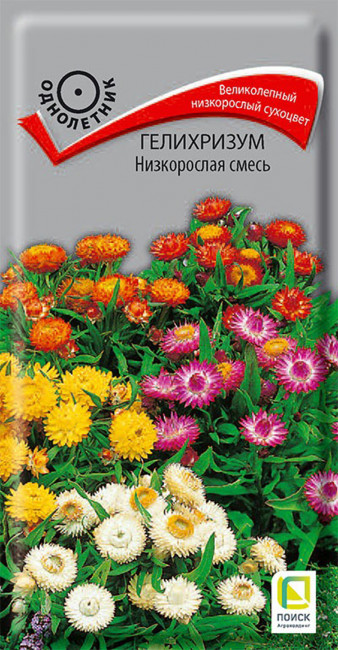 Гелихризум Низкорослая смесь, 0.1 г