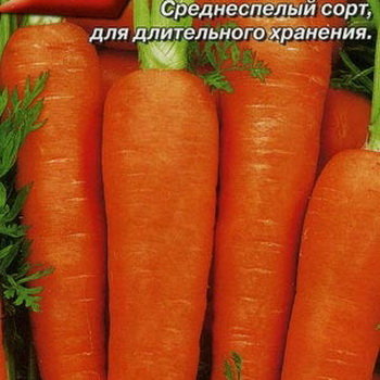 Морковь Московская зимняя А 515 (лента 8 м)