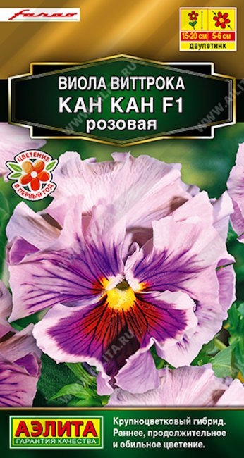 Виола Кан Кан розовая F1, 7 шт семян
