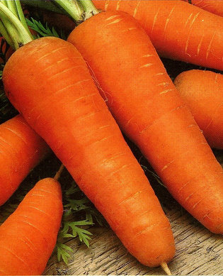 Морковь Смаковница