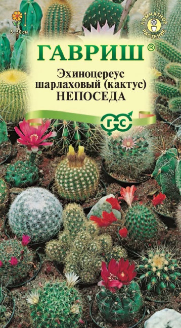 Эхиноцереус шарлаховый (кактус) Непоседа, смесь, 0.05 г