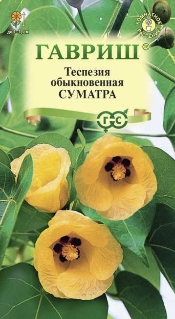 Теспезия Суматра, 3 шт семян