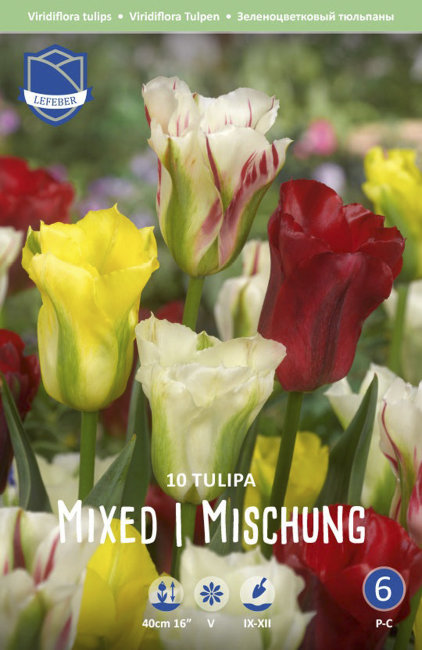 Тюльпан зеленоцветный смесь (Tulipa Viridiflora Mixed), 10 шт (разбор 12/14)