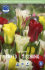 Тюльпан зеленоцветный смесь (Tulipa Viridiflora Mixed), 10 шт (разбор 12/14)