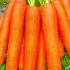 Морковь Нантская красная (лена 8 м)