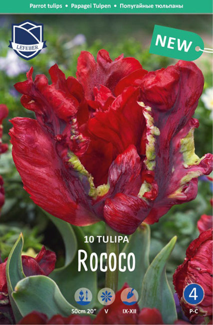 Тюльпан Рококо (Tulipa Rococo), 10 шт (разбор 11/12)