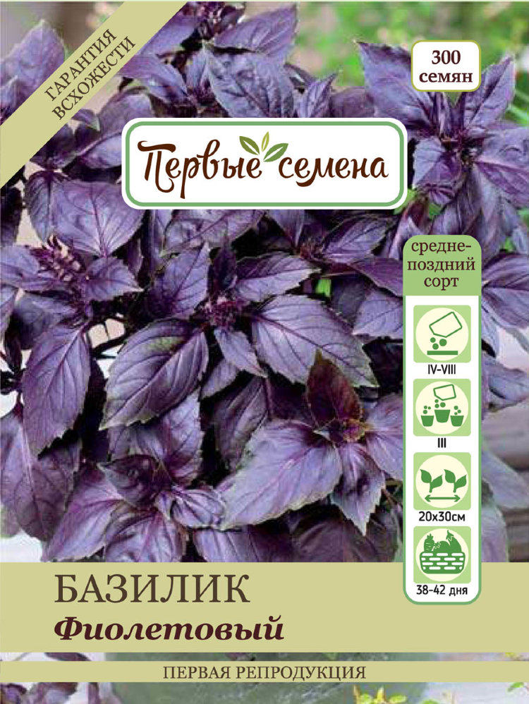 Купить Семена Базилика Фиолетового