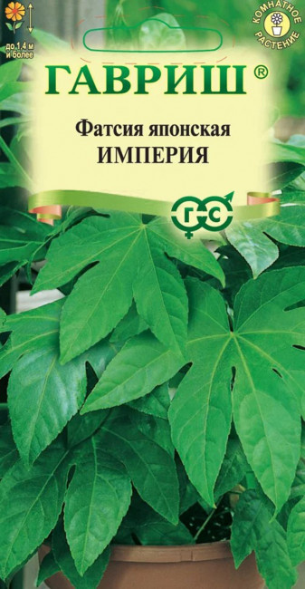 Фатсия японская Империя, 5 шт семян