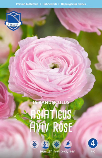 Ранункулюс азиатский Авив Пинк (Ranunculus Aviv Rose=Pink), 15 шт (разбор 7/8)