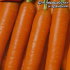 Морковь Несравненная (лента 8 м)