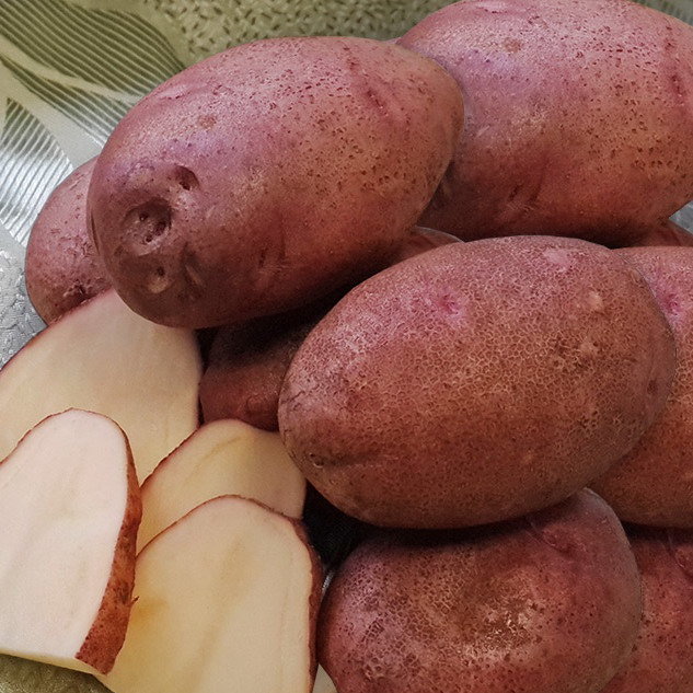 Картофель семенной Любава (2 кг)