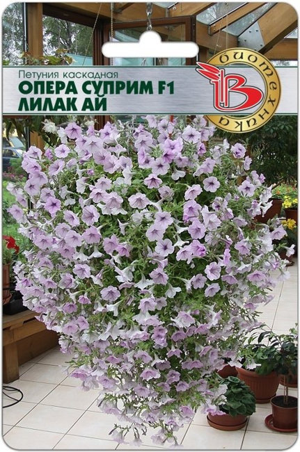Петуния каскадная Опера Суприм F1 Лилак Ай, 5 шт семян