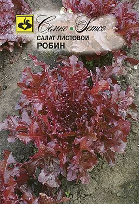 Салат Робин, листовой, 1 г