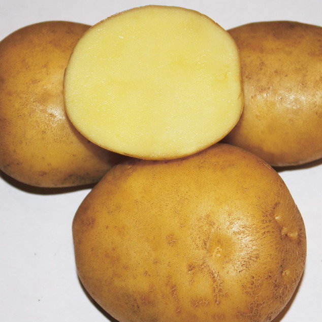 Картофель семенной Метеор (2 кг)