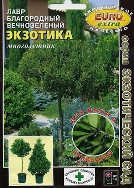 Лавр Экзотика вечнозеленый, 1.5 г