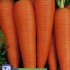 Морковь Витаминная 6, 2 г