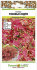 Колеус Розовые кудри, 10 шт семян