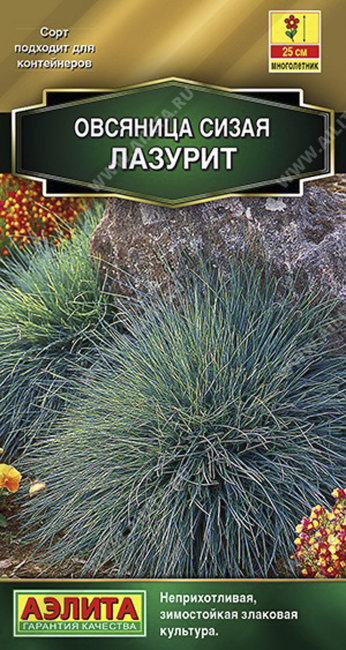 Овсяница сизая Лазурит, 5 шт семян
