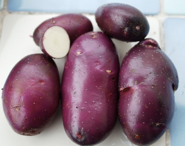 Картофель семенной Василек (2 кг)
