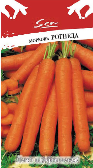 Морковь Рогнеда, 2 г