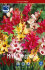 Иксия смесь (Ixia hybrids Mixed), 25 шт (разбор 5/6)