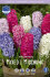 Гиацинт смесь (Hyacinthus Mixed), 10 шт (разбор 14/15)