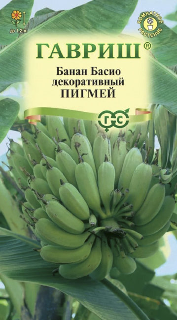 Банан декоративный Пигмей, 3 шт семян