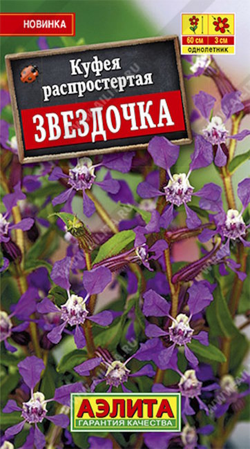 Куфея Звездочка, 10 шт семян