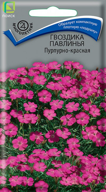 Гвоздика Павлинья Пурпурно-красная, 0.05 г