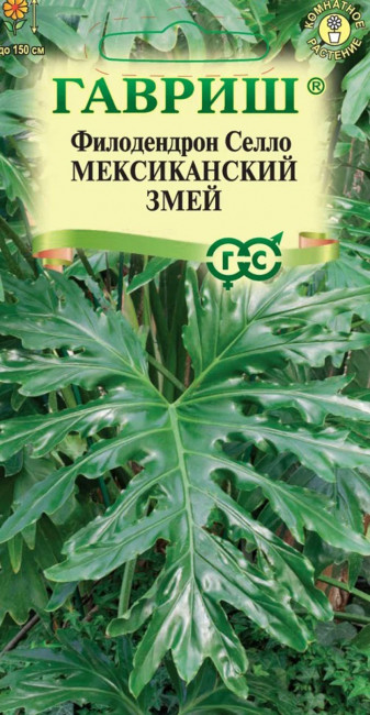 Филодендрон Селло Мексиканский змей, 5 шт семян