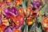 Тюльпан попугайный смесь (Tulipa Parrot Mixed), 10 шт (разбор 11/12)
